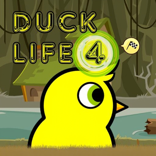 Duck Life 4