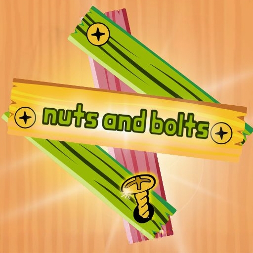 Nuts And Bolts Puzzle