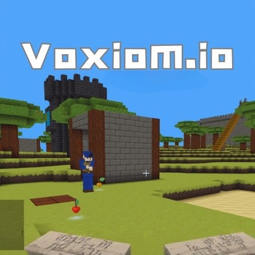 Voxiom.io